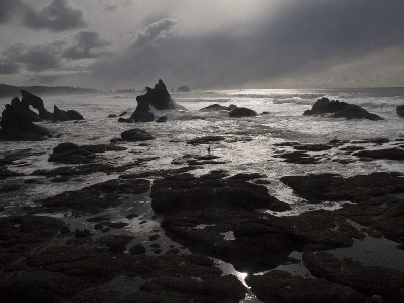 Pressure Washer — 3200 PSI Gas