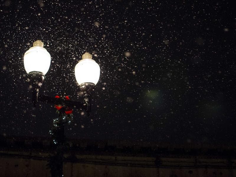 Portable PA Speaker System (Bose L1 Compact)