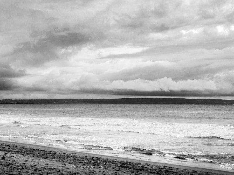 4-Passenger Electric Golf Cart (EZGO RXV)