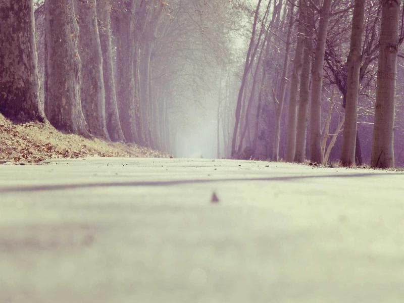 Epson Home Cinema Projector + 100-Inch Screen