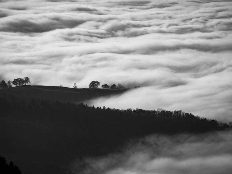 Auto-Transport Car Hauler Trailer (16 ft)