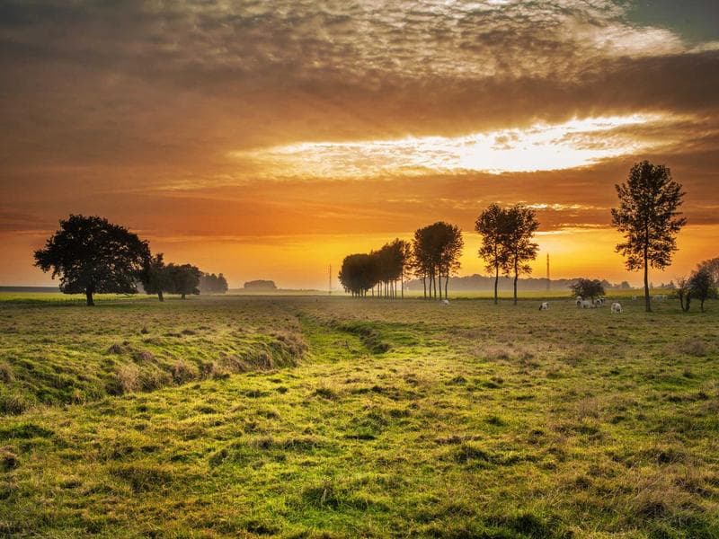 Margarita Machine (Frozen Drink Maker)